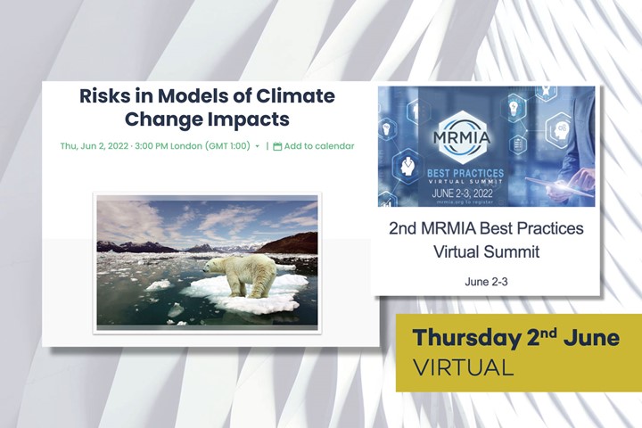 ZRE participating at the 2nd MRMIA Best Practices Virtual Summit